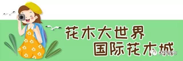 江苏沭阳春日旅游攻略图,沭阳旅游攻略自由行