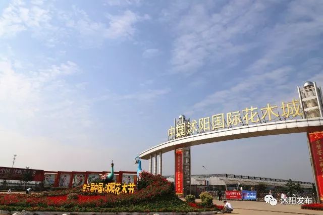 江苏沭阳春日旅游攻略图,沭阳旅游攻略自由行