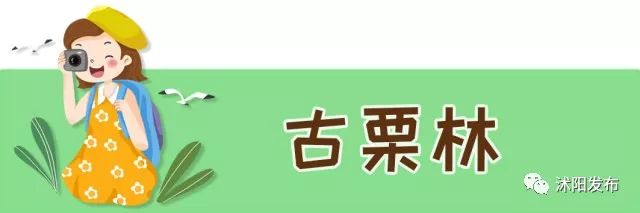 江苏沭阳春日旅游攻略图,沭阳旅游攻略自由行