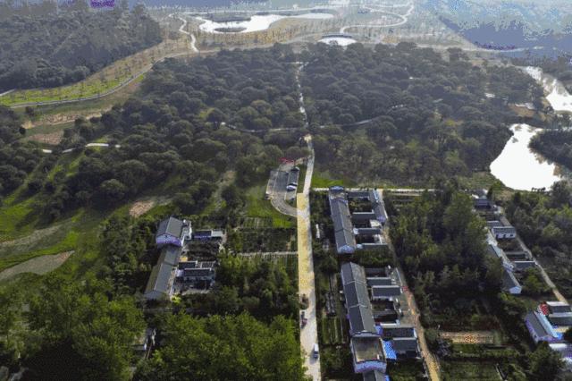 江苏沭阳春日旅游攻略图,沭阳旅游攻略自由行