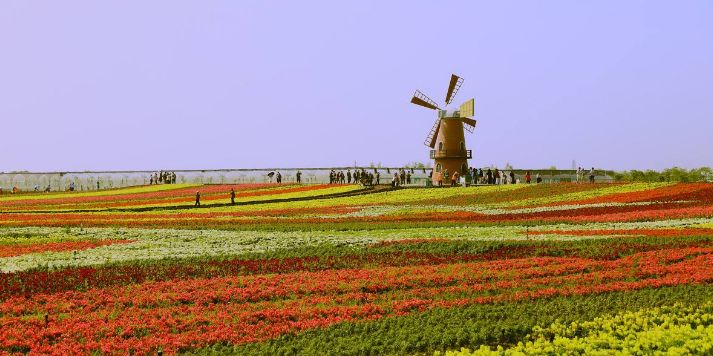 新闻早班车最新事件,新闻联播中纪委通报典型案例