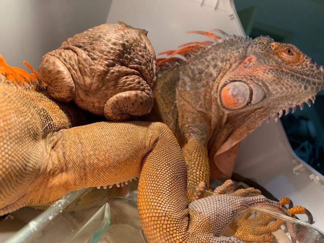 太震撼了!85后帅哥笔下的鬼神世界,迷倒了上万人......