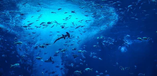 三亚带十岁孩子暑期旅游攻略,三亚旅游全攻略带孩子