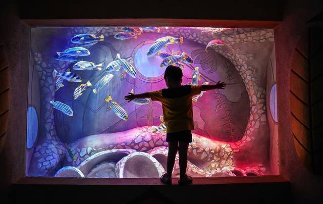 三亚带十岁孩子暑期旅游攻略,三亚旅游全攻略带孩子