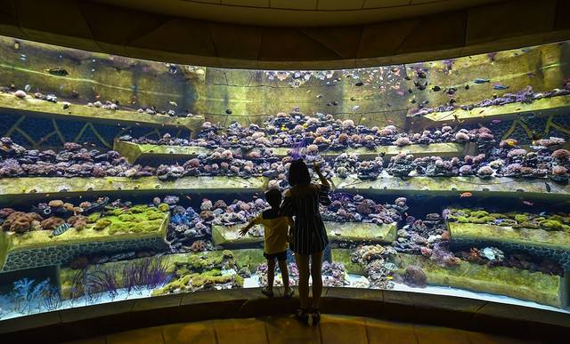三亚带十岁孩子暑期旅游攻略,三亚旅游全攻略带孩子