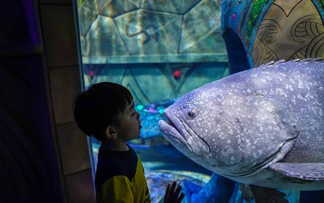 三亚带十岁孩子暑期旅游攻略,三亚旅游全攻略带孩子