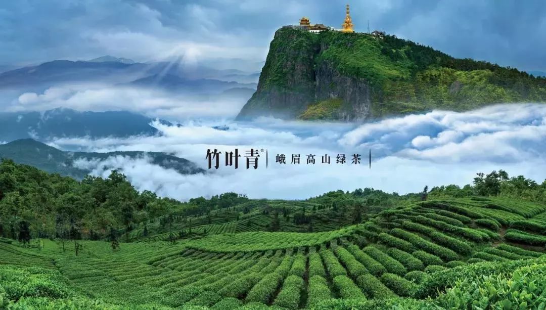 竹叶青峨眉高山绿茶100克价格,竹叶青峨眉高山绿茶中国销量领先