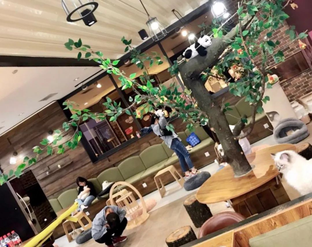 假期除了看电影逛街还可以干啥,假期千万不要出去玩的地方