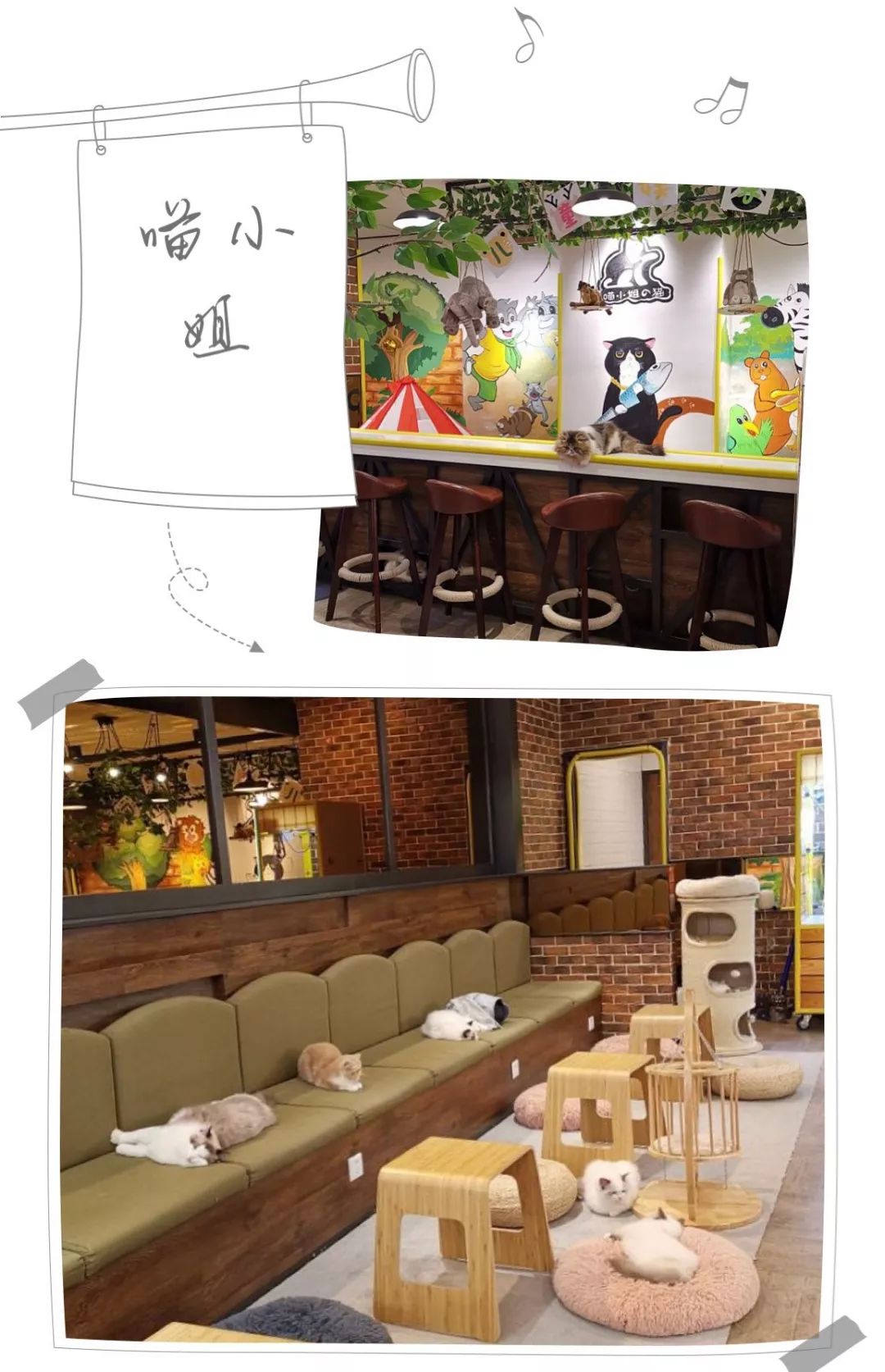 假期除了看电影逛街还可以干啥,假期千万不要出去玩的地方