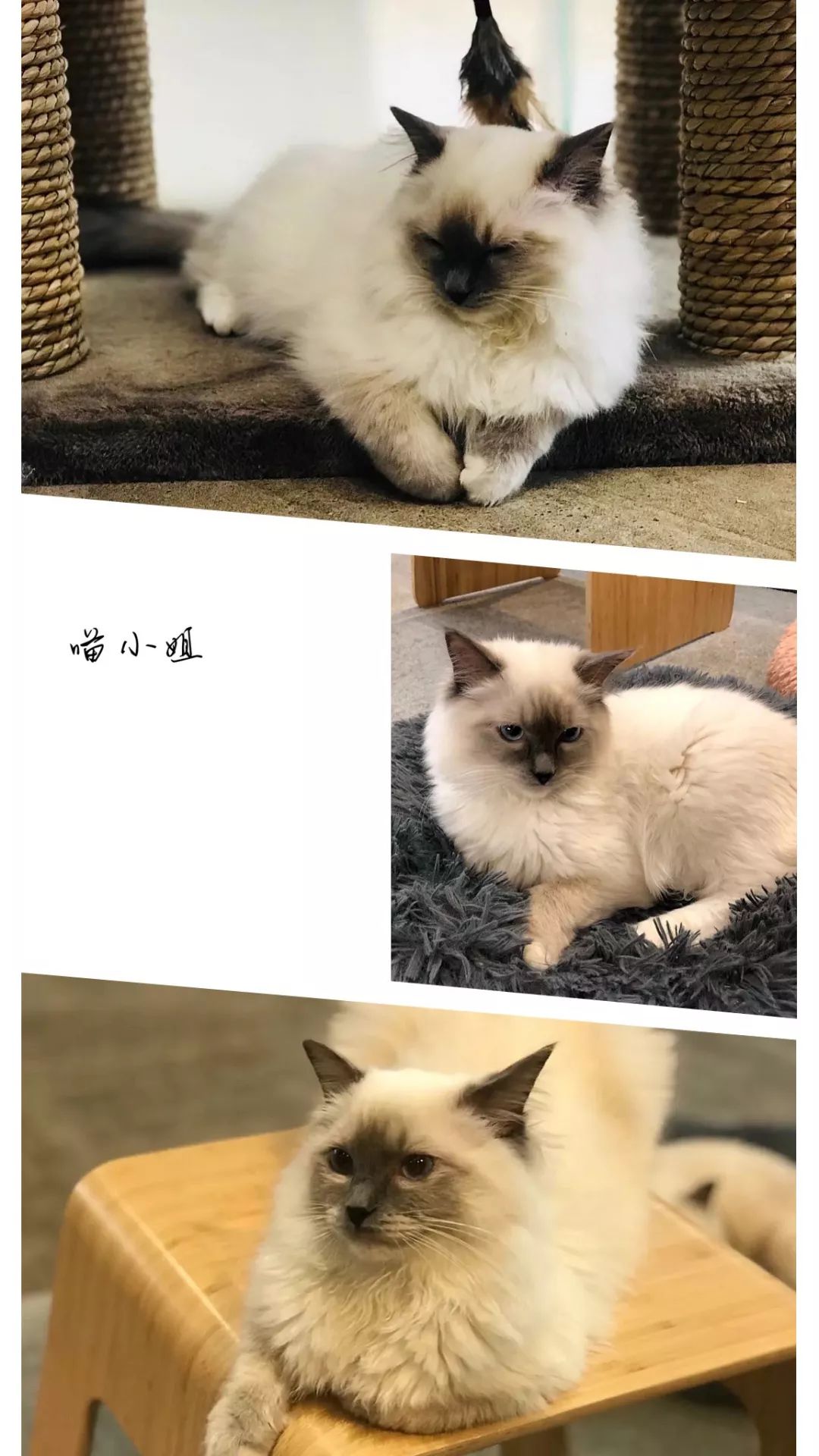 假期除了看电影逛街还可以干啥,假期千万不要出去玩的地方