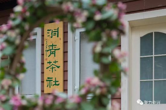 逛绿道,逛绿道看风景