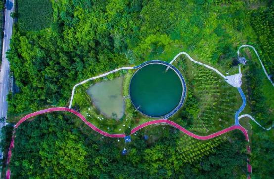 逛绿道,逛绿道看风景