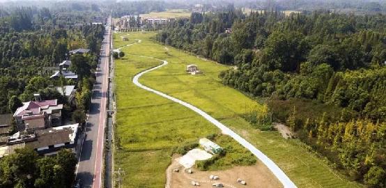 逛绿道,逛绿道看风景