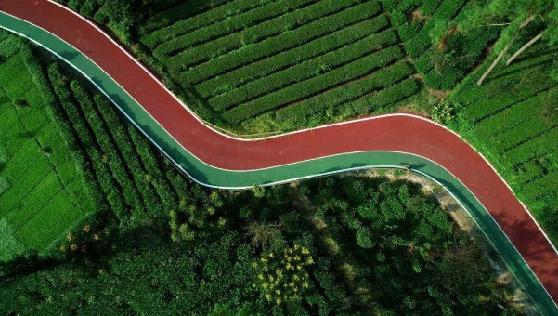 逛绿道,逛绿道看风景