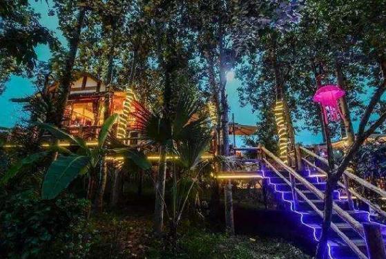 逛绿道,逛绿道看风景