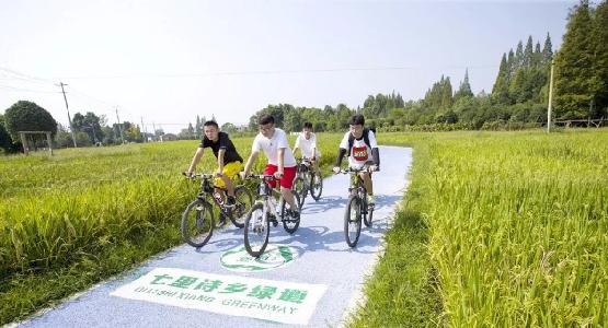 逛绿道,逛绿道看风景