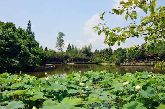 逛绿道,逛绿道看风景