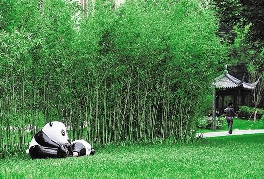 逛绿道,逛绿道看风景