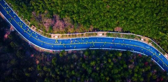 逛绿道,逛绿道看风景