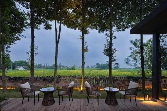 逛绿道,逛绿道看风景