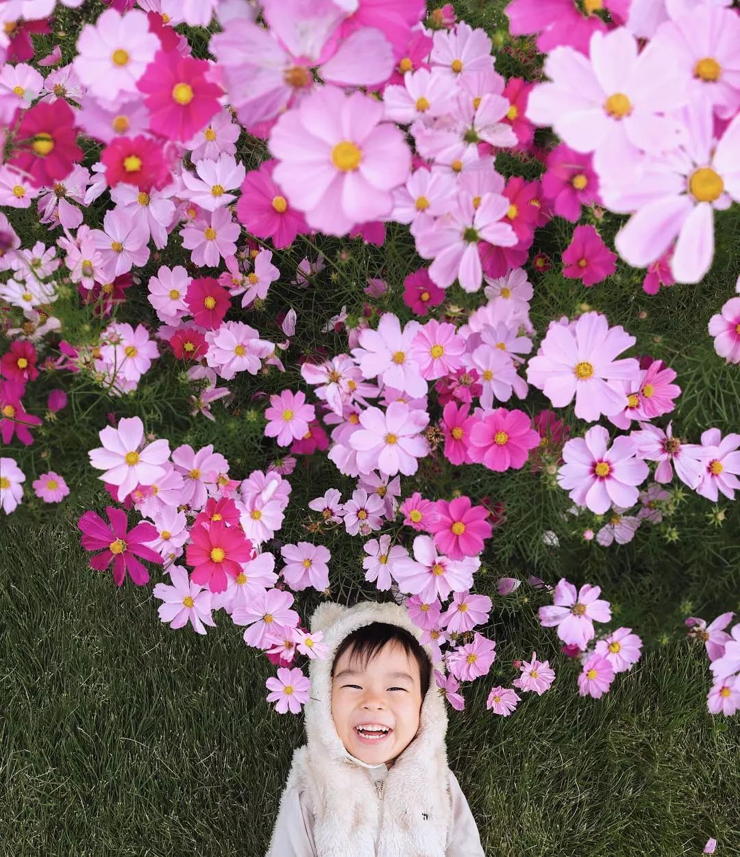 日本爸爸把男孩子拍出宫崎骏 (日本老爸把女儿拍到宫崎骏)