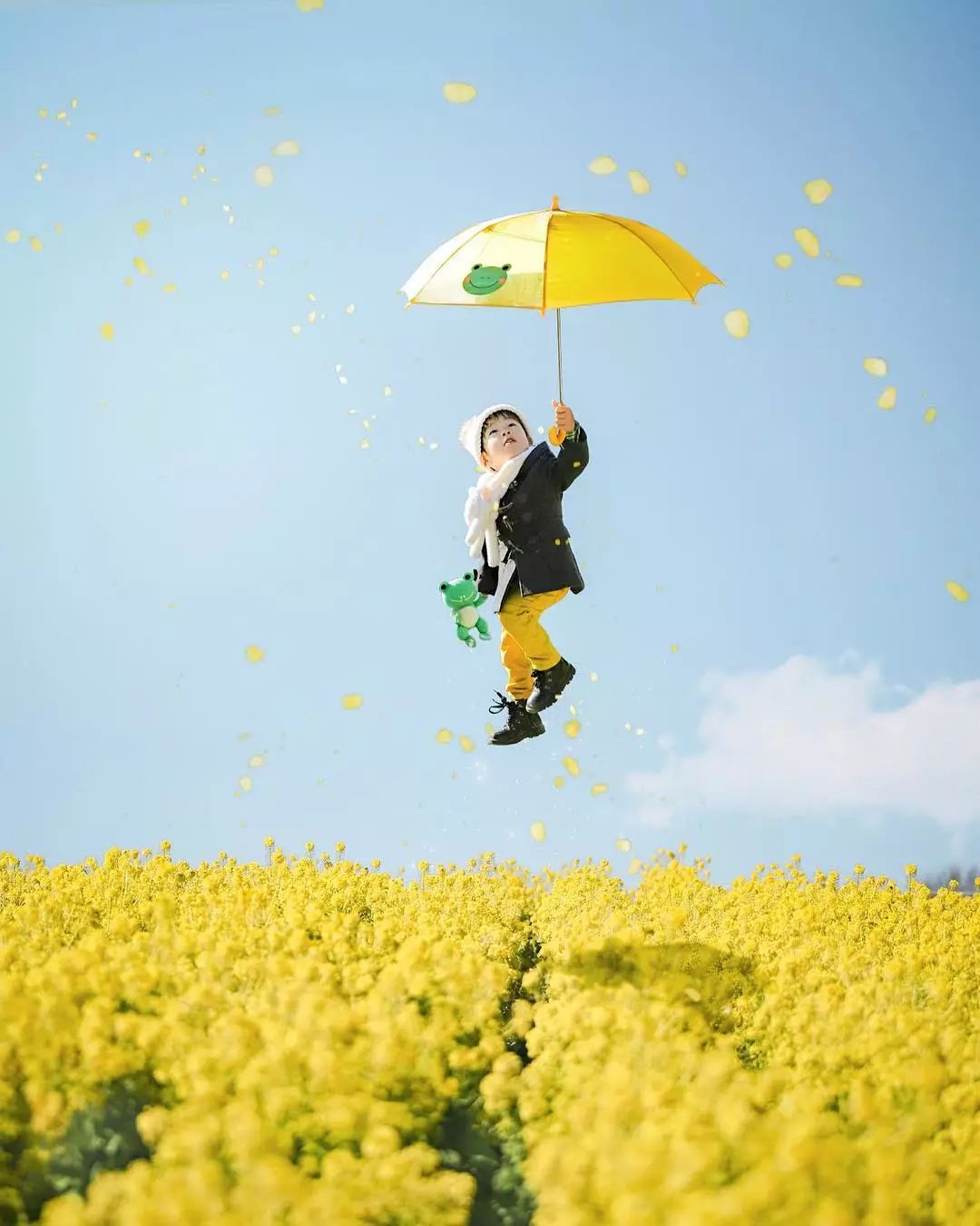 日本爸爸把男孩子拍出宫崎骏 (日本老爸把女儿拍到宫崎骏)