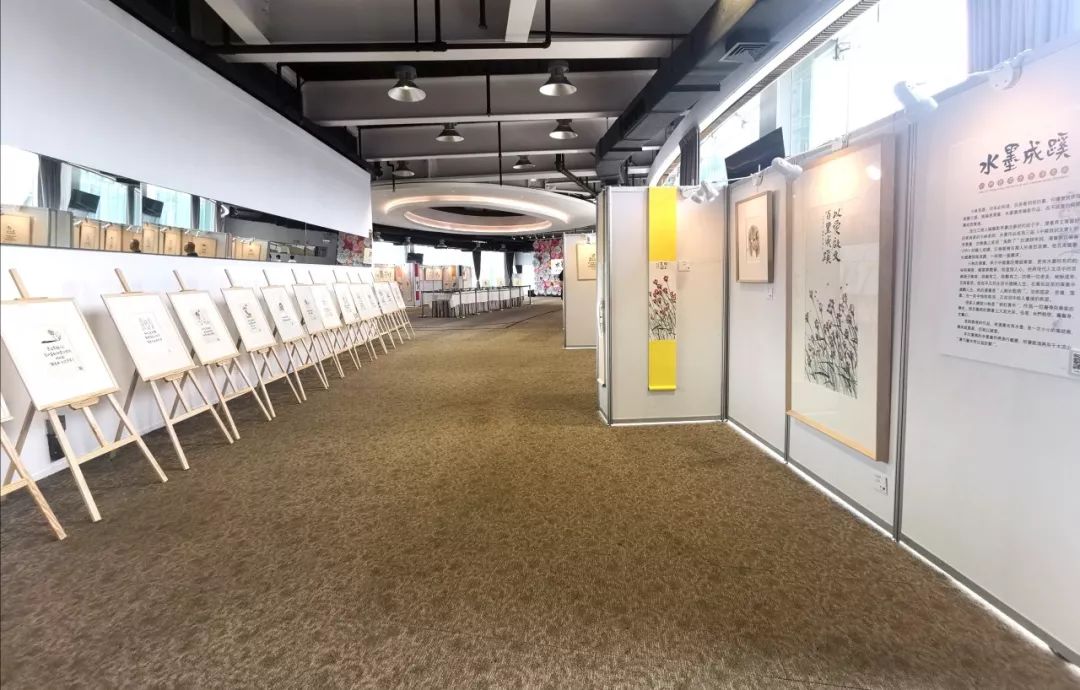 央视小林,央视新闻表扬小林的视频