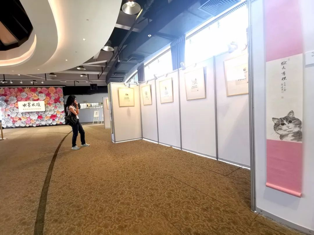 央视小林,央视新闻表扬小林的视频