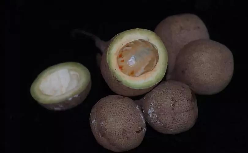 真正爱吃水果的人，能为榴莲花掉50万