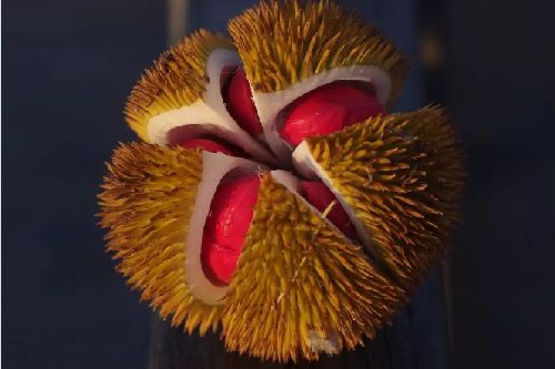 真正爱吃水果的人，能为榴莲花掉50万