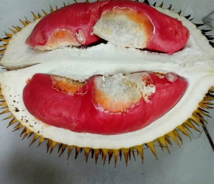 真正爱吃水果的人，能为榴莲花掉50万