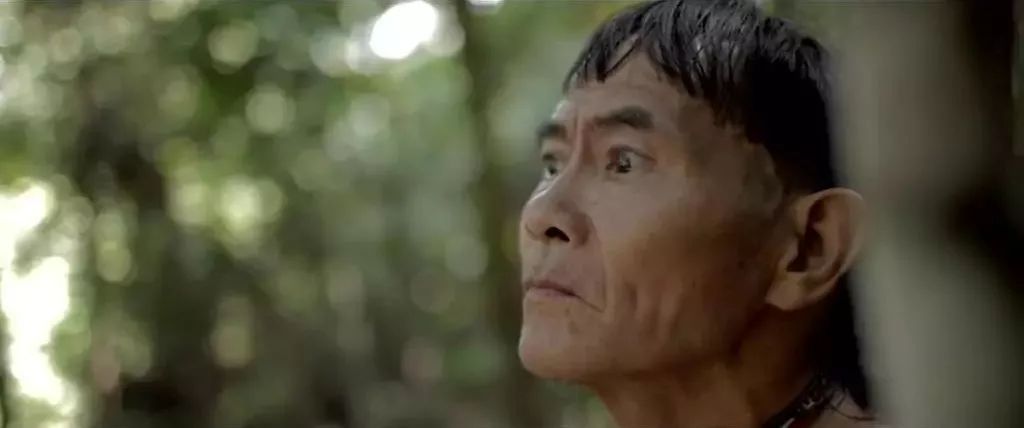 真正爱吃水果的人，能为榴莲花掉50万