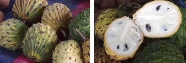 真正爱吃水果的人，能为榴莲花掉50万