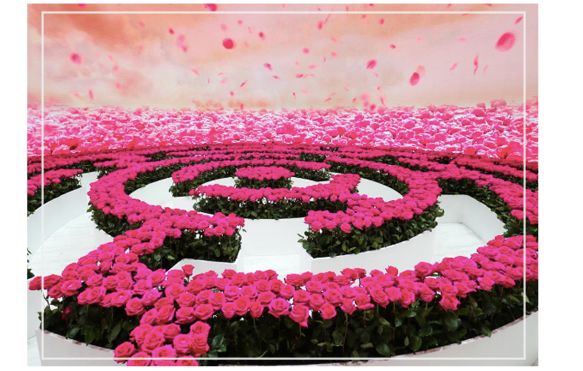 ysl2022春夏新品口红,黄黑皮深唇春夏口红色号推荐