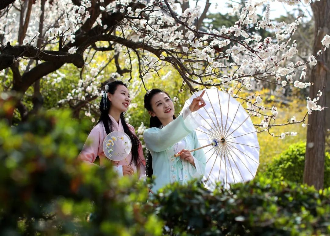 蓬莱五一旅游攻略,蓬莱阁旅游攻略一日游推荐