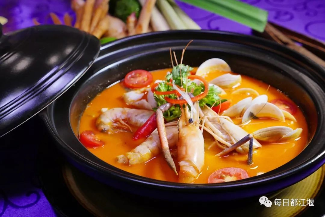 都江堰青城康养,都江堰青城康养中心