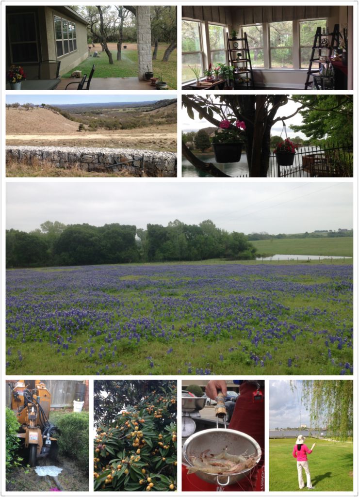 让人欢喜让人悲哀,让人欢喜让人忧的城市