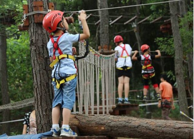 柳州赏花一日游最佳去处,赏花一日游最佳去处柳州