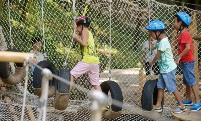 柳州赏花一日游最佳去处,赏花一日游最佳去处柳州