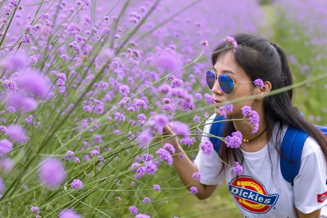 柳州赏花一日游最佳去处,赏花一日游最佳去处柳州