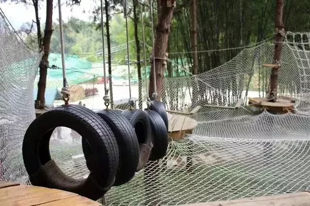 柳州赏花一日游最佳去处,赏花一日游最佳去处柳州