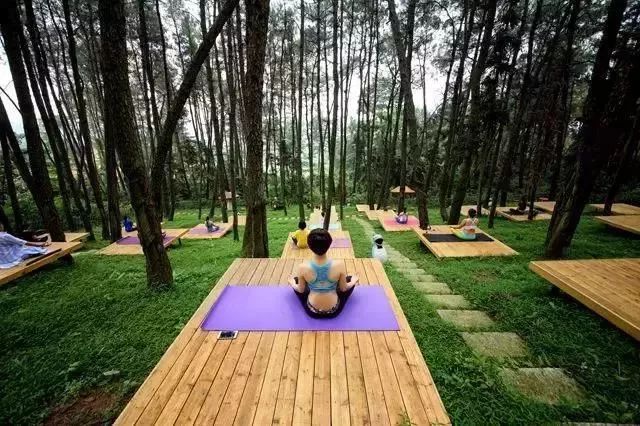 柳州赏花一日游最佳去处,赏花一日游最佳去处柳州