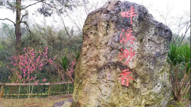 柳州赏花一日游最佳去处,赏花一日游最佳去处柳州