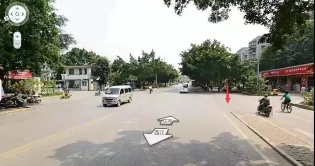 柳州赏花一日游最佳去处,赏花一日游最佳去处柳州