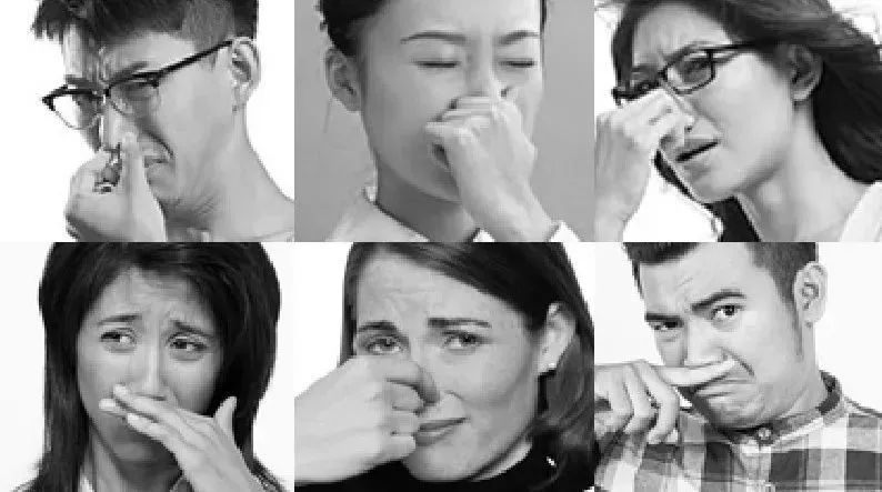 棉拖鞋界的爱马仕,拖鞋中的爱马仕网红拖鞋评测