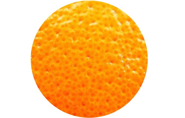 毛孔粗大到能插秧4招教你缩回去,脸上毛孔粗大跟插秧一样