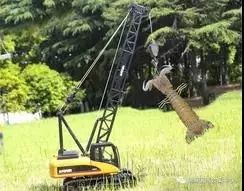 美景美食不虚此行,美景美食美不胜收