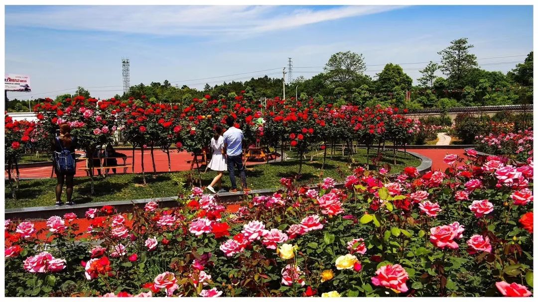 湘潭五一2-3天短途旅游,夏季湘潭周边游