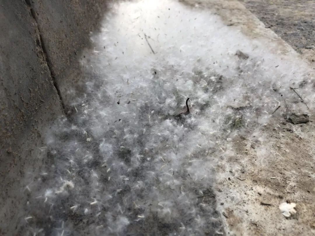 狂降13℃+雨，马上到！