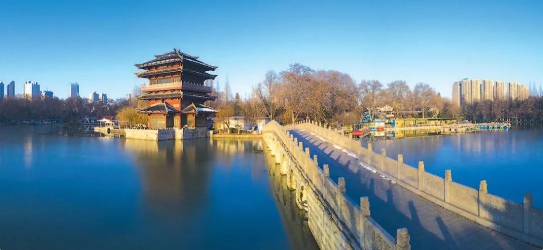 市委书记的文章,市委书记文章